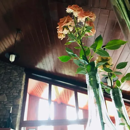皮洛斯卡别墅住宿加早餐旅馆 3* Hévíz